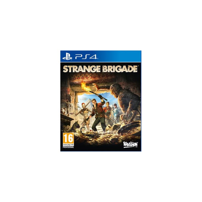 STRANGE BRIGADE PS4 naudotas