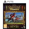 HARRY POTTER: QUIDDITCH CHAMPIONS